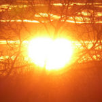Sonnenherz Regina Ernst