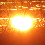 Sonnenherz Regina Ernst