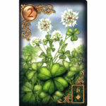 1300-490-maria-mallia-wochen-legung-FiMi