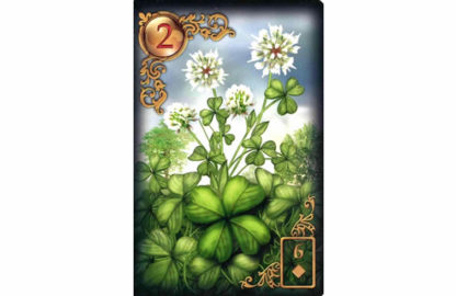 1300-490-maria-mallia-wochen-legung-FiMi